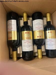 Azelia vignoble - Castiglione Falletto