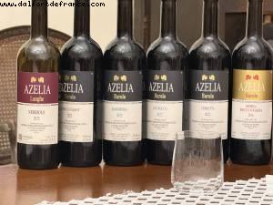 Azelia vignoble - Castiglione Falletto