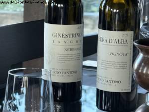 Contino Fantino vignoble - Monforte d/'Alba, Italie