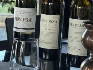 Contino Fantino vignoble - Monforte d/'Alba, Italie